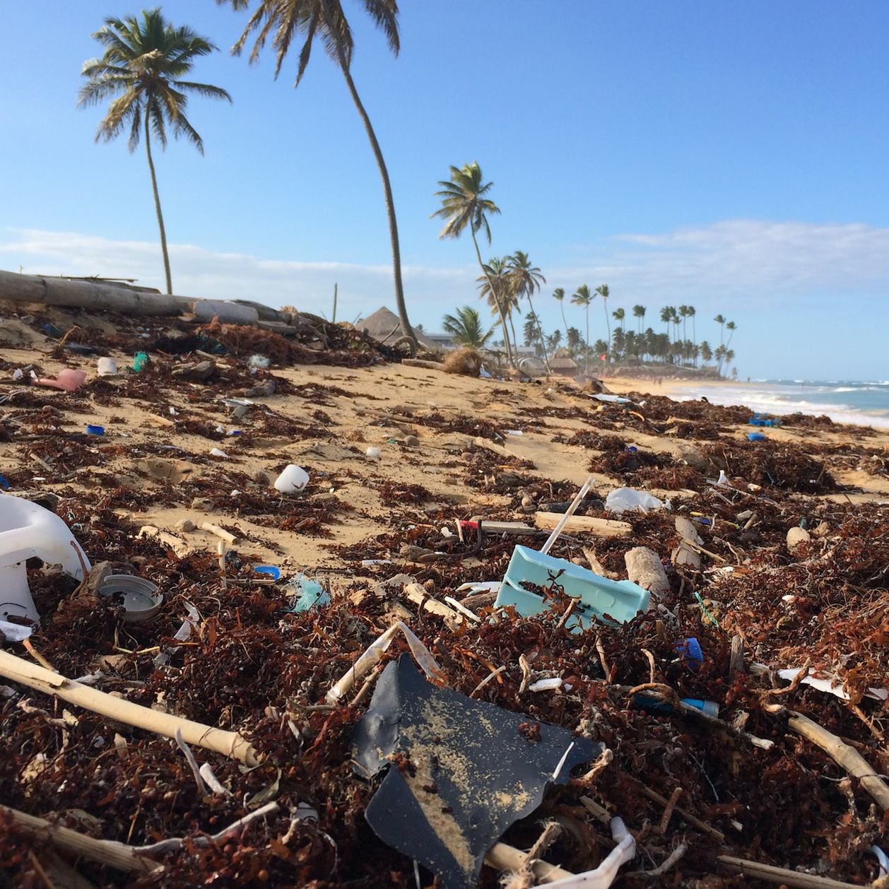 plastic trash on a tropical beach by dustan woodhouse